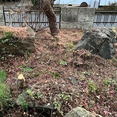 庭石 灯篭 灯籠 燈篭の画像