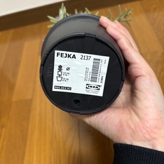 IKEA フェイクグリーン　ラベンダー(鉢付き)の画像