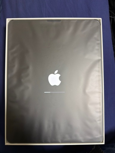 iPadPro12.9インチ