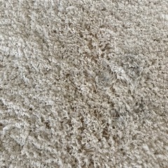 円形ラグの画像