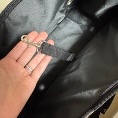 超小型 小型犬キャリーバッグの画像