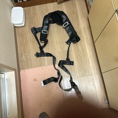 ハーネスのみ
の画像