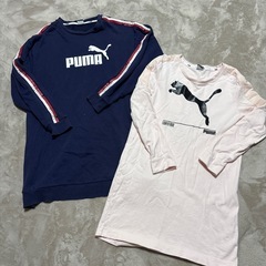 🎀PUMA洋服🎀の画像