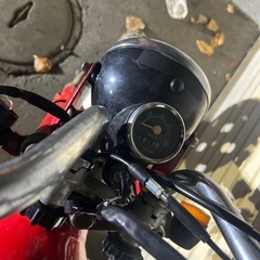 モンキーのレプリカ　金城ドギー
の画像