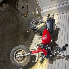 モンキーのレプリカ　金城ドギー
の画像