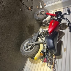 モンキーのレプリカ　金城ドギー
の画像