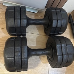 ダンベル 10kg × 2個 セットの画像