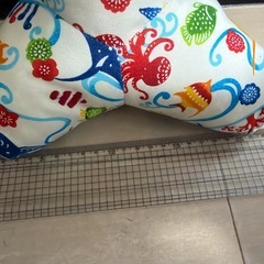 沖縄ジンベイザメ　テトラ★大の画像