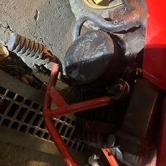 ホンダQR50の画像