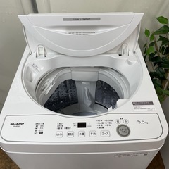 R433 ☀️ ジモティー限定特別価格！ 2024年製の高年式♪ SHARP 洗濯機 （洗濯5.5㎏) ES-GE5H ⭐ 動作確認済 ⭐ クリーニング済の画像