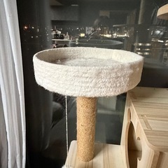決まりました。キャットタワーの画像