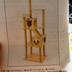 決まりました。キャットタワーの画像