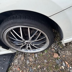 マルチフォルケッタにIIの画像