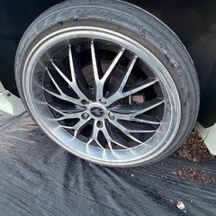 マルチフォルケッタにIIの画像