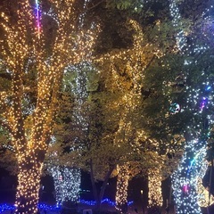 雑談、オフ会、通話グループ