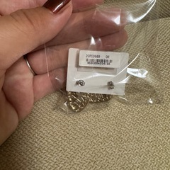 チタン　ピアスの画像