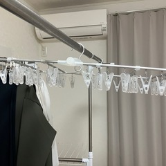 【お取引き先確定】【12月5日までの出品予定】ニトリ　ピンチハンガーの画像