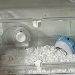 ハムスター用ゲージ等一式 (商談中)の画像