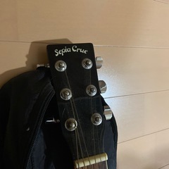 sepia cureのギターの画像