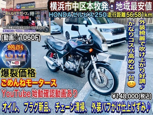 ホンダゼルビス250 人気のゼルちゃん最強爆裂SALE価格にて^_^