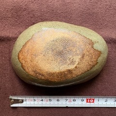 楕円形　小鉢　小皿　和食器の画像