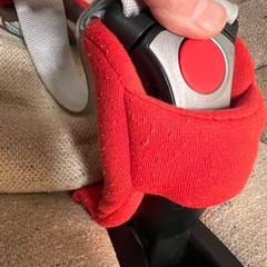 マキシコシの画像