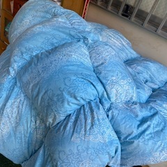 羽毛ふと布団の画像