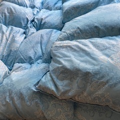 羽毛ふと布団の画像