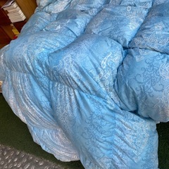 羽毛ふと布団の画像