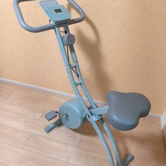 フィットネスバイク　おしゃれなカラー⭐︎の画像