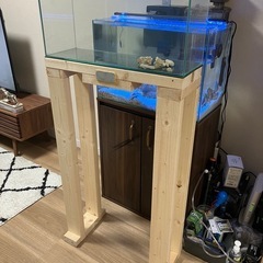 60cm スリム　水槽の画像