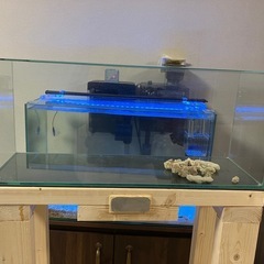 60cm スリム　水槽の画像