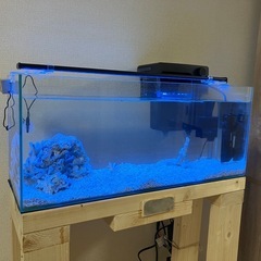 60cm スリム　水槽の画像