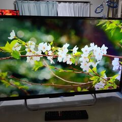 【動画あり】ソニー ブラビア SONY BRAVIA KJ-32W730C 32インチ 液晶テレビ 2017年製 NET動画  ユーチューブ等 観れます！の画像