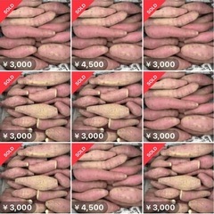 さつまいも　5kgの画像