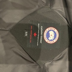 カナダグース　ジャスパーの画像