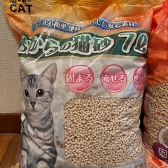 お話中　おからの猫砂　の画像