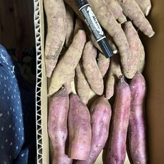 さつまいも
の画像