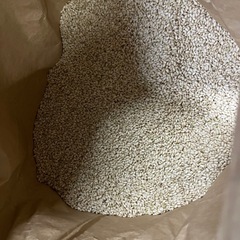 R7年産 新米 もち米 玄米 10kgの画像