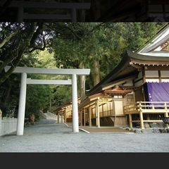 御朱印集め行きませんか〜⛩️