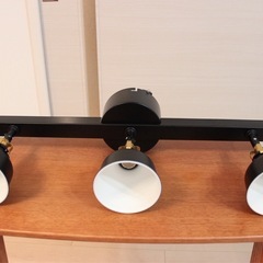 美品 IKEA RANARP ラーナルプ シーリング スポットライト ブラックの画像