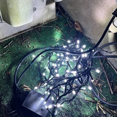 イルミネーションの画像