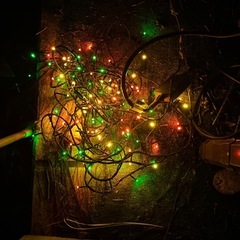 野外用イルミネーションの画像