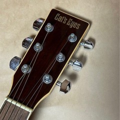 Cat's Eyes CE25T ST アコースティックギターTokaiの画像