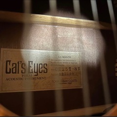 Cat's Eyes CE25T ST アコースティックギターTokaiの画像