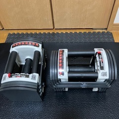 FIELDOORブロックダンベル22kg2個セット の画像