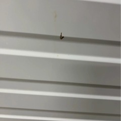 【月末最終セール】【分解清掃済み】【12ヶ月保証】東芝ドラム式洗濯機TW-117V9L 2020年製　洗濯11kg乾燥7kgの画像