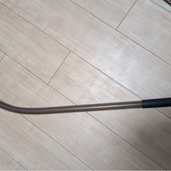 カープフィッシング　色々の画像