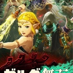 ゼルダ無双　封印戦記　の画像