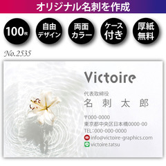 名刺印刷 100枚 両面 フルカラー 紙ケース付 No.2…